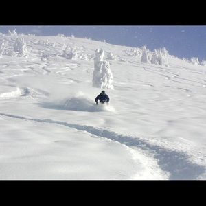 Meet your Posher, Isaac